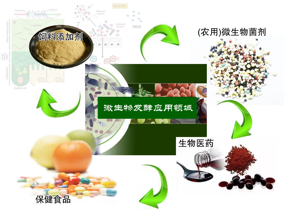 选择东营市禾润德生物科技有限公司的理由